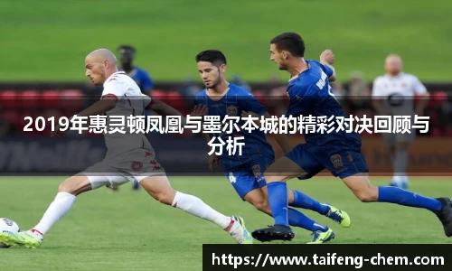 竞技宝2019年惠灵顿凤凰与墨尔本城的精彩对决回顾与分析
